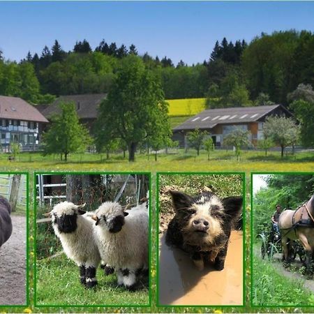 Ferienwohnung Pferde - Und Eselhof Gruenegg Eschenz Exterior foto