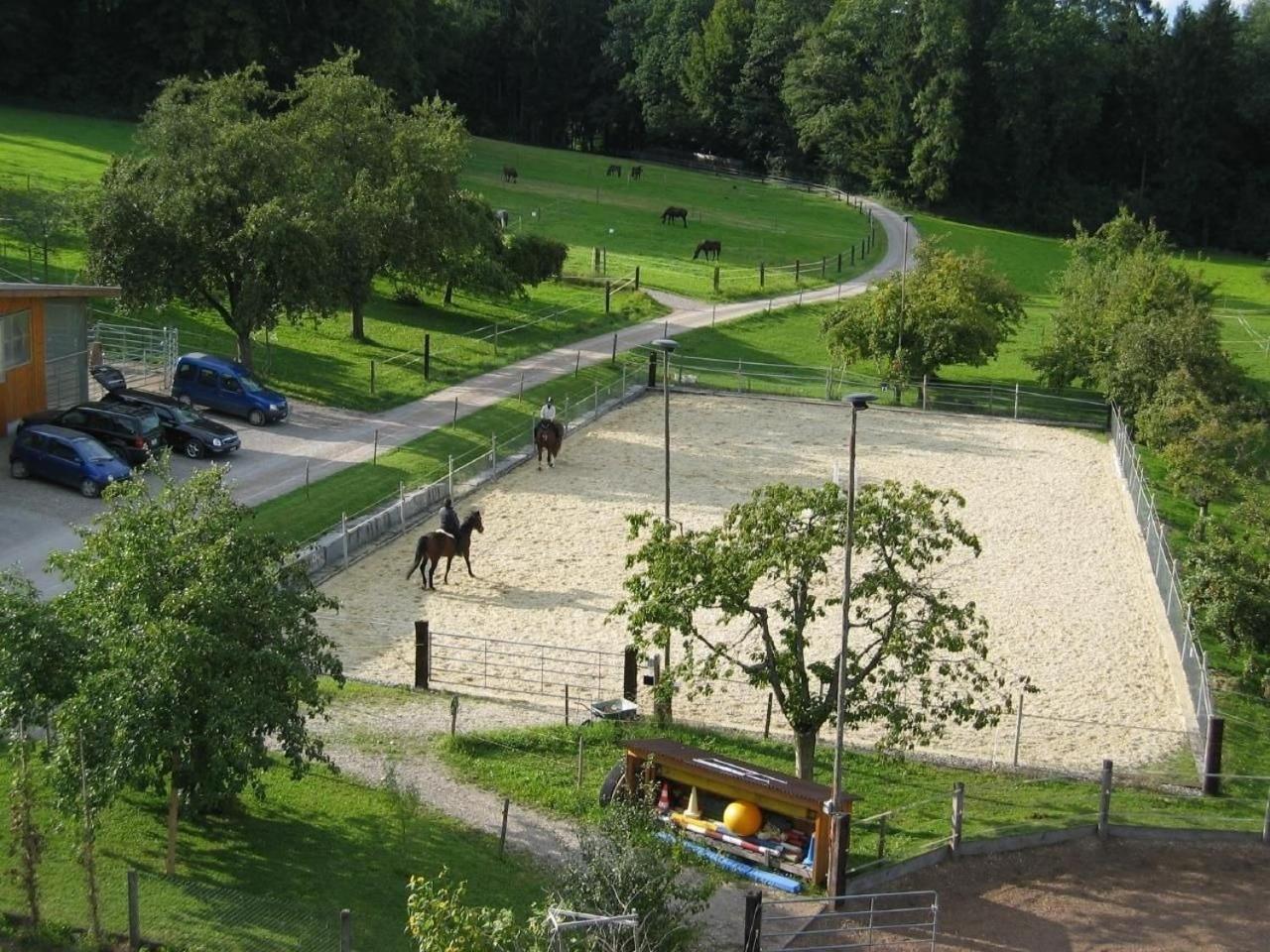 Ferienwohnung Pferde - Und Eselhof Gruenegg Eschenz Exterior foto