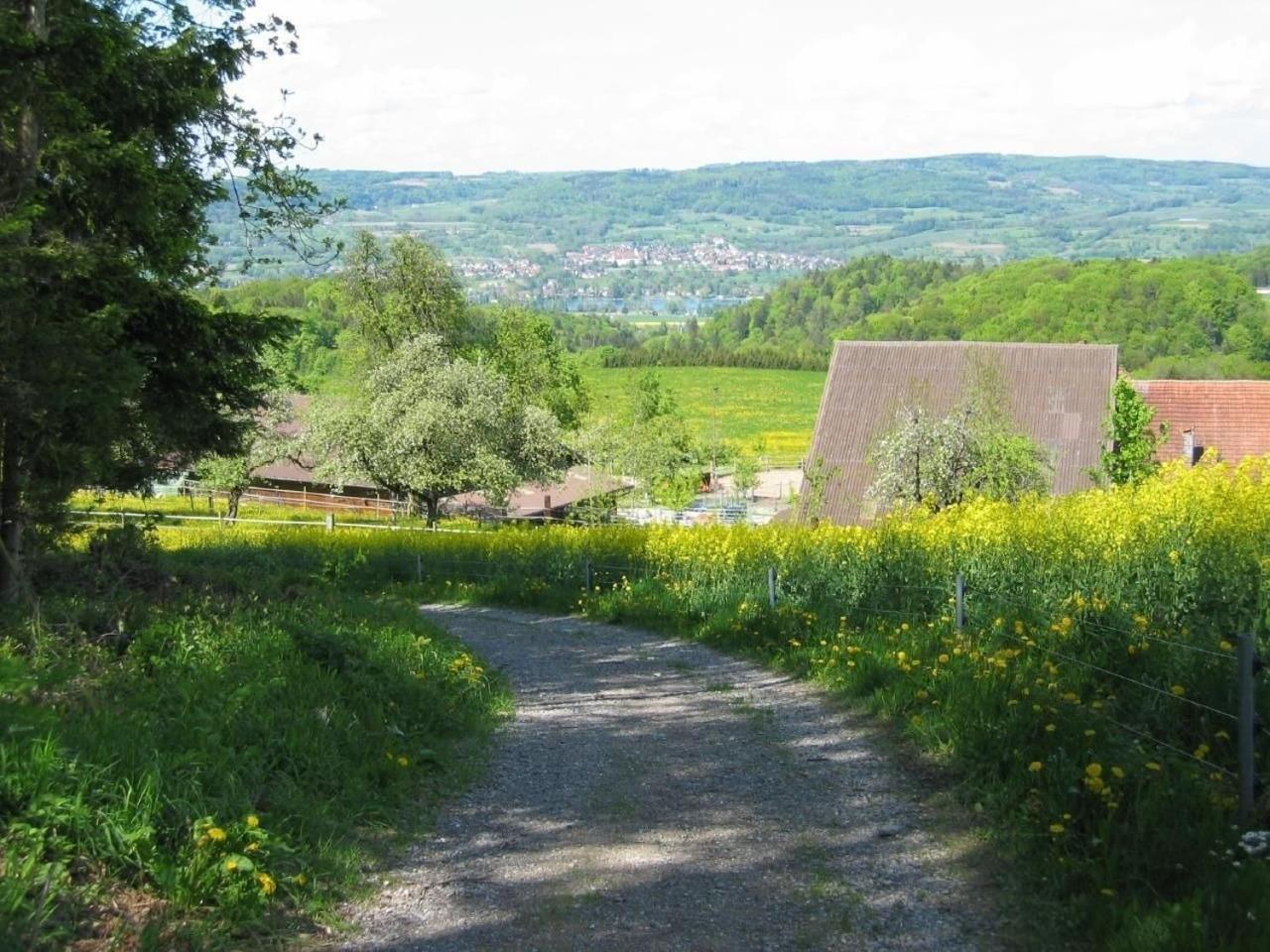 Ferienwohnung Pferde - Und Eselhof Gruenegg Eschenz Exterior foto